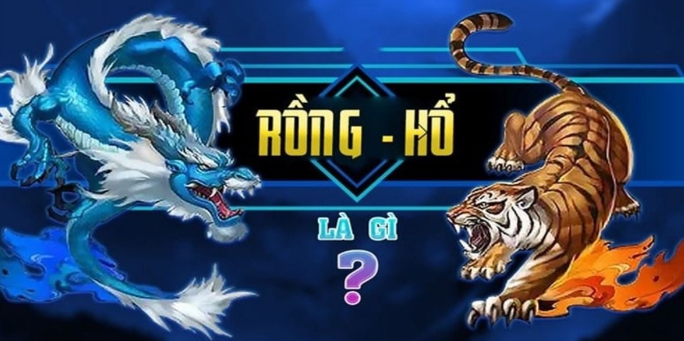 Những cửa cược trong ván Rồng Hổ tại nhà cái i9bet net cho tân thủ